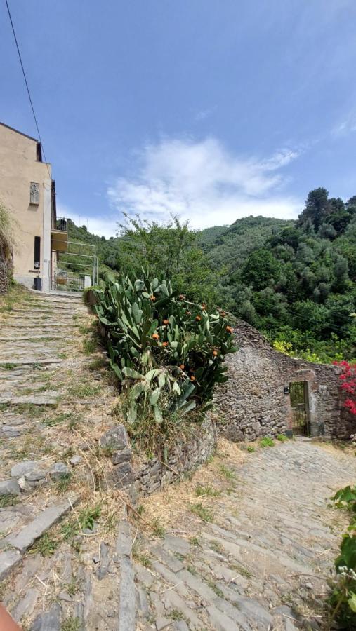 Готель La Casa Dei Limoni Монтероссо-аль-Маре Екстер'єр фото