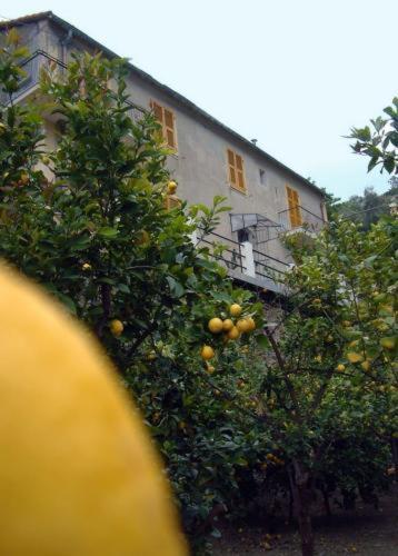 Готель La Casa Dei Limoni Монтероссо-аль-Маре Екстер'єр фото